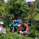 FILLED: 2018 Seasonal Job Opportunity