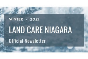 Newsletter Winter 2021