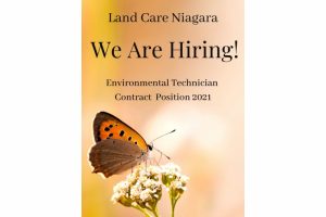 Job Posting: Environmental Technician Contract Summer 2021 (CLOSED)