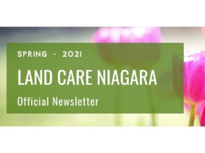 Newsletter Spring 2021