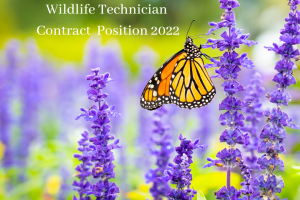 Job Posting: Wildlife Technician Contract Summer 2022 (CLOSED)